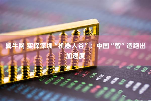 翼牛网 实探深圳“机器人谷”：中国“智”造跑出加速度