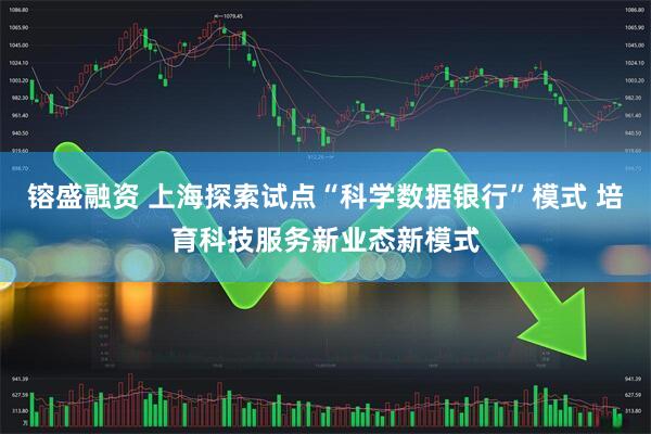 镕盛融资 上海探索试点“科学数据银行”模式 培育科技服务新业态新模式