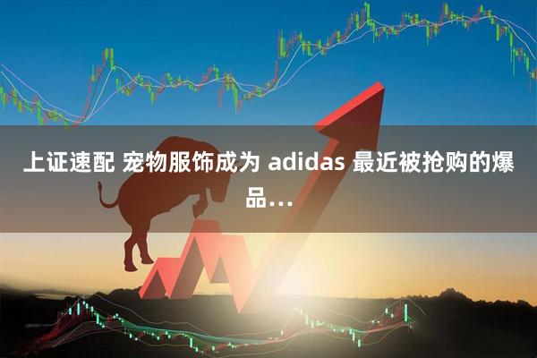 上证速配 宠物服饰成为 adidas 最近被抢购的爆品…