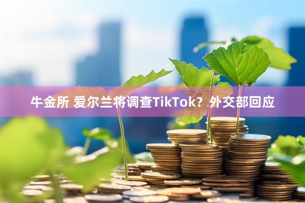牛金所 爱尔兰将调查TikTok？外交部回应