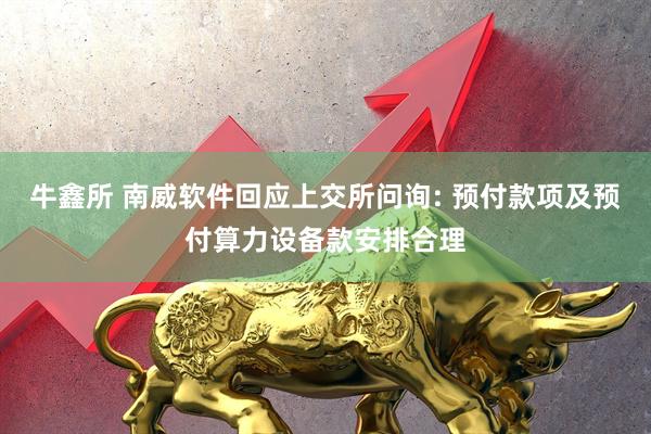 牛鑫所 南威软件回应上交所问询: 预付款项及预付算力设备款安排合理