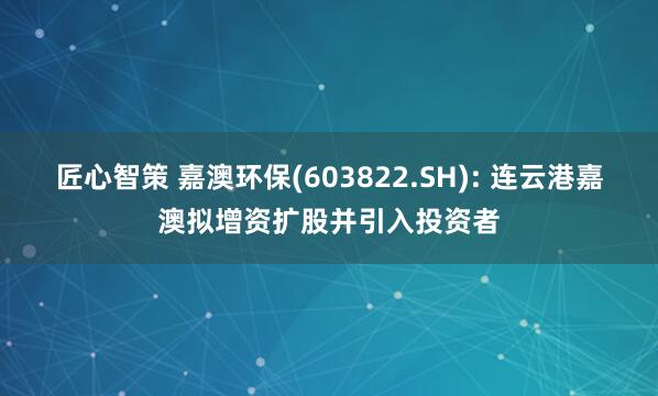 匠心智策 嘉澳环保(603822.SH): 连云港嘉澳拟增资扩股并引入投资者