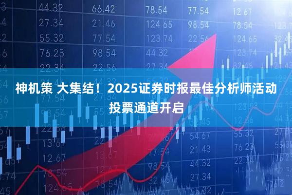 神机策 大集结！2025证券时报最佳分析师活动投票通道开启
