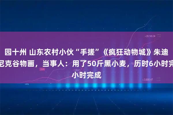 园十州 山东农村小伙“手搓”《疯狂动物城》朱迪和尼克谷物画，当事人：用了50斤黑小麦，历时6小时完成