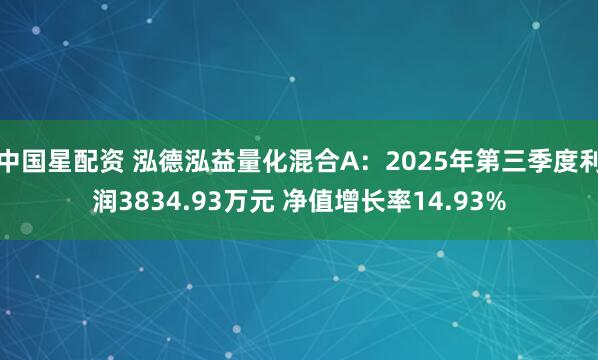 中国星配资 泓德泓益量化混合A：2025年第三季度利润3834.93万元 净值增长率14.93%