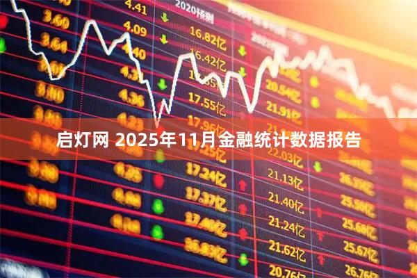 启灯网 2025年11月金融统计数据报告